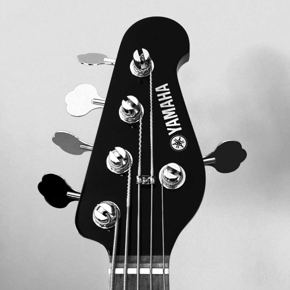 Stüdyo Ekipmanları: Gitar, Bas, Piyano, Mikrofonlar